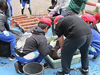 Img_5657